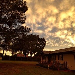 Meet your Posher, Jo